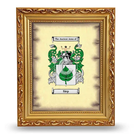 Siep Coat of Arms Framed - Gold