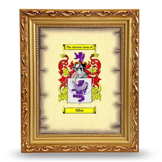 Silva Coat of Arms Framed - Gold
