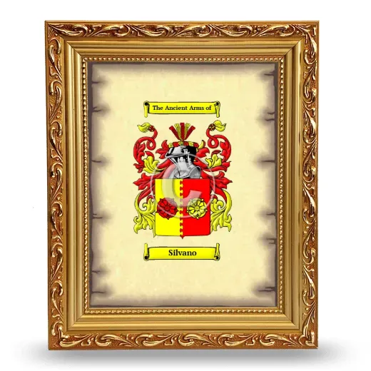 Silvano Coat of Arms Framed - Gold