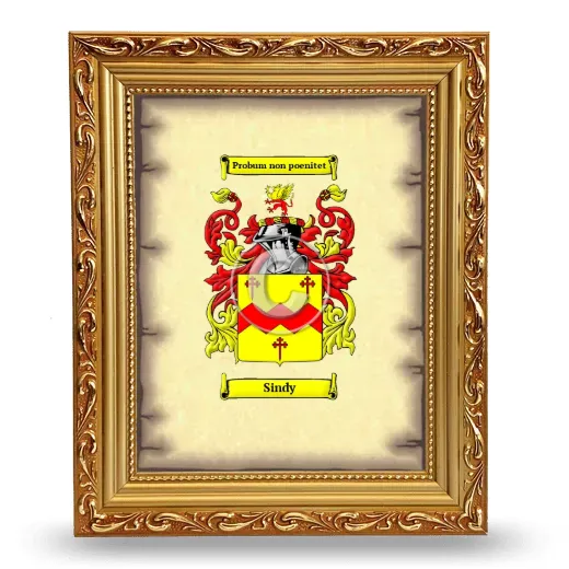 Sindy Coat of Arms Framed - Gold