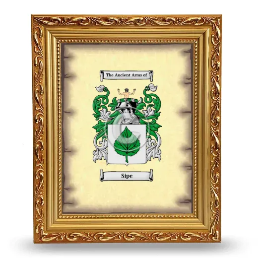 Sipe Coat of Arms Framed - Gold