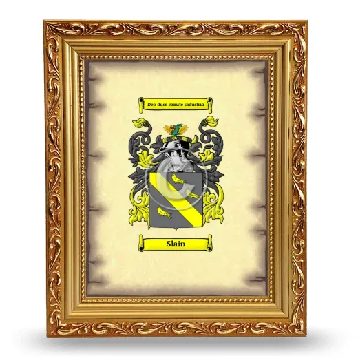 Slain Coat of Arms Framed - Gold