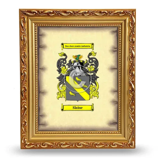 Slaine Coat of Arms Framed - Gold