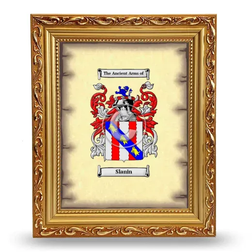 Slanin Coat of Arms Framed - Gold