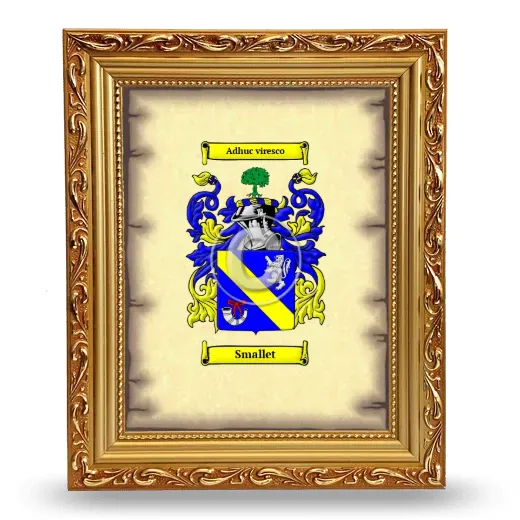 Smallet Coat of Arms Framed - Gold