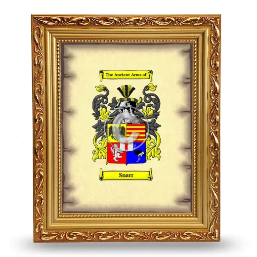 Snarr Coat of Arms Framed - Gold