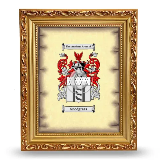 Snodgrass Coat of Arms Framed - Gold