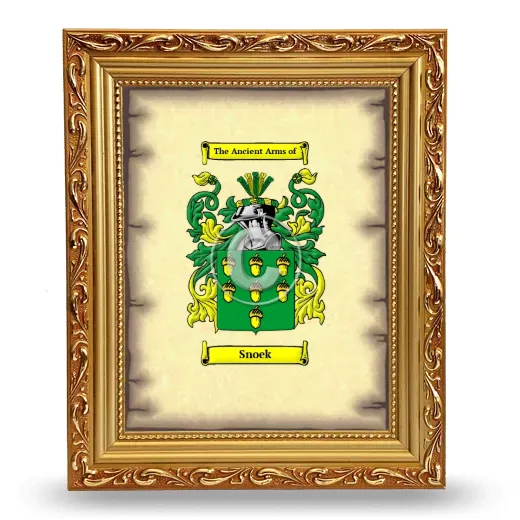 Snoek Coat of Arms Framed - Gold
