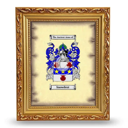 Snowdent Coat of Arms Framed - Gold