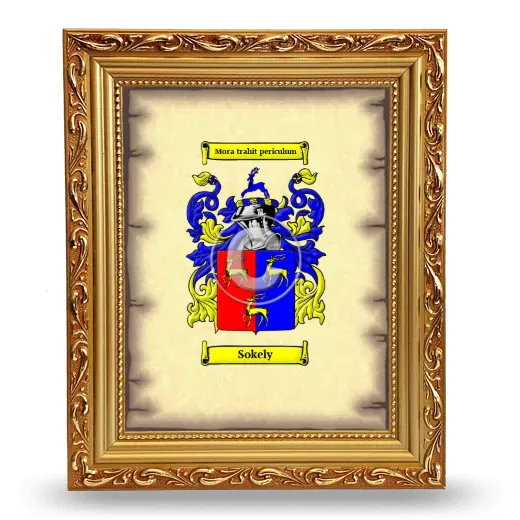 Sokely Coat of Arms Framed - Gold