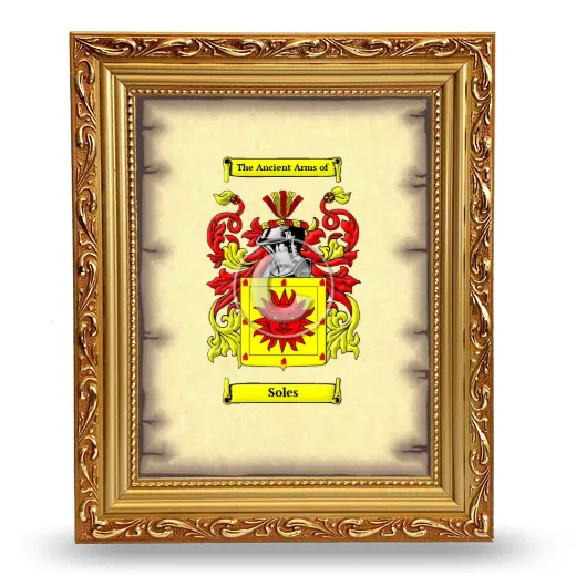 Soles Coat of Arms Framed - Gold