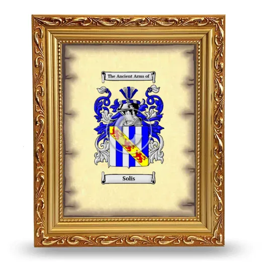 Solis Coat of Arms Framed - Gold