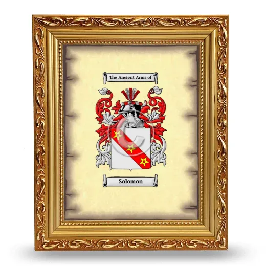Solomon Coat of Arms Framed - Gold