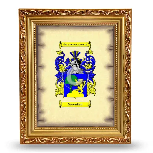 Sorentini Coat of Arms Framed - Gold