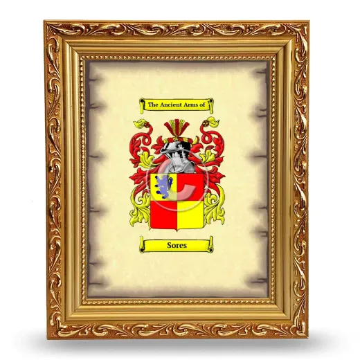Sores Coat of Arms Framed - Gold