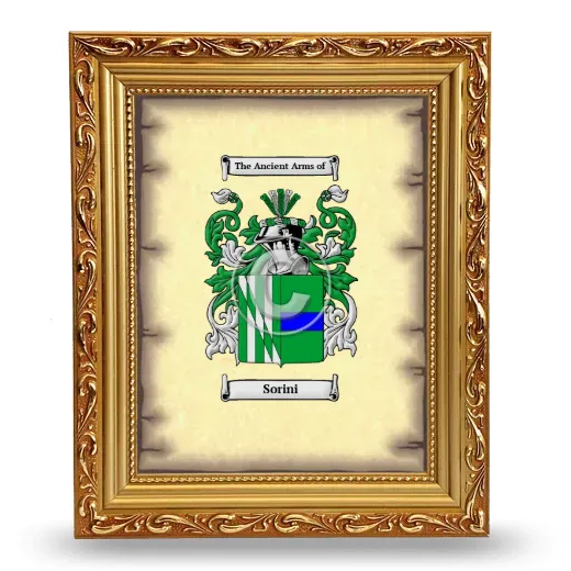 Sorini Coat of Arms Framed - Gold