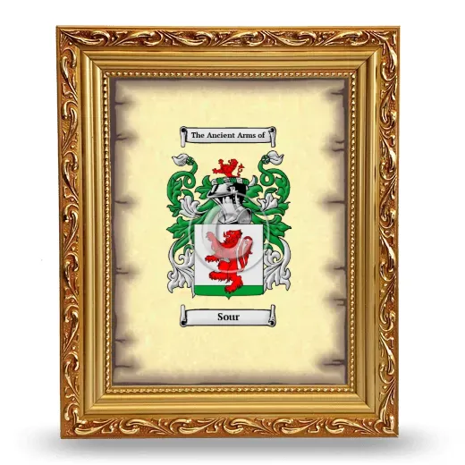 Sour Coat of Arms Framed - Gold