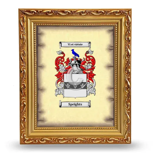 Speights Coat of Arms Framed - Gold