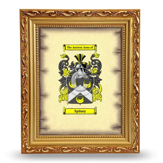 Spinay Coat of Arms Framed - Gold