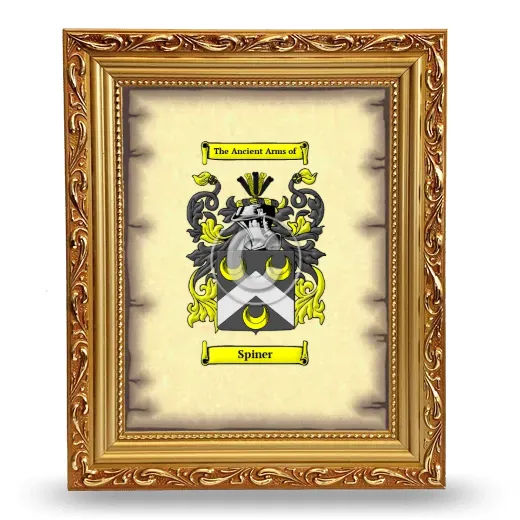 Spiner Coat of Arms Framed - Gold