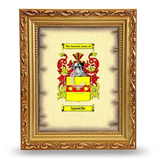 Spiniello Coat of Arms Framed - Gold