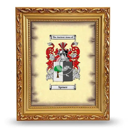 Spruce Coat of Arms Framed - Gold
