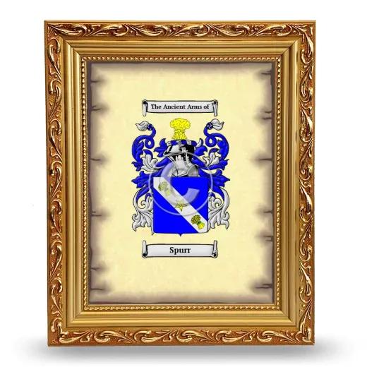 Spurr Coat of Arms Framed - Gold