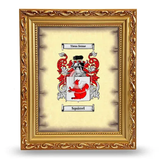 Squirrel Coat of Arms Framed - Gold