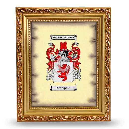Stackpole Coat of Arms Framed - Gold