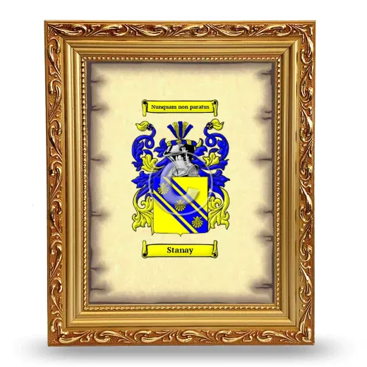 Stanay Coat of Arms Framed - Gold