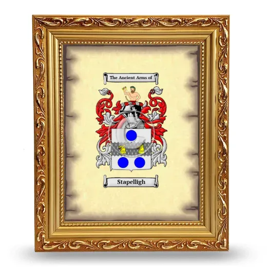 Stapelligh Coat of Arms Framed - Gold
