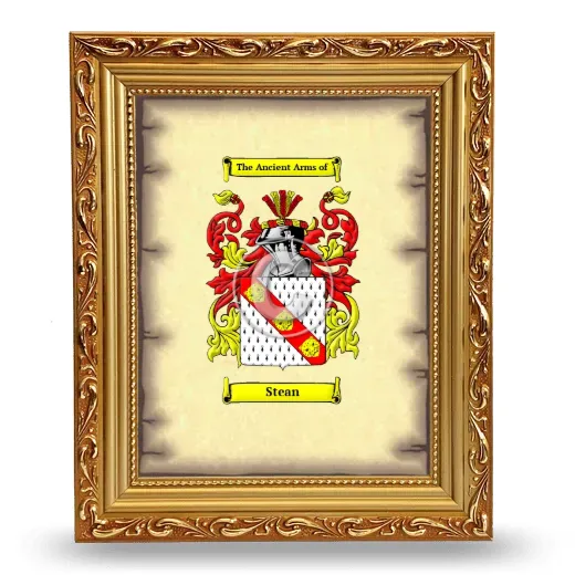 Stean Coat of Arms Framed - Gold