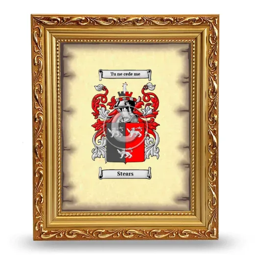 Stears Coat of Arms Framed - Gold