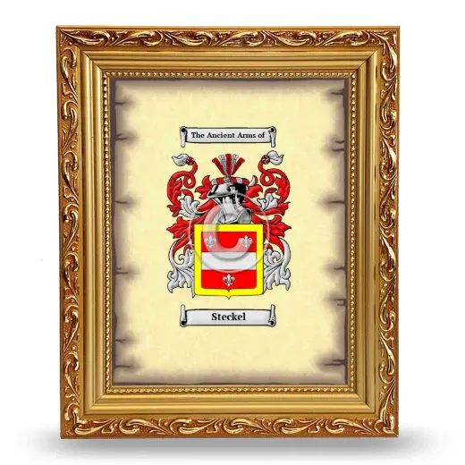 Steckel Coat of Arms Framed - Gold
