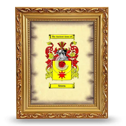 Steen Coat of Arms Framed - Gold