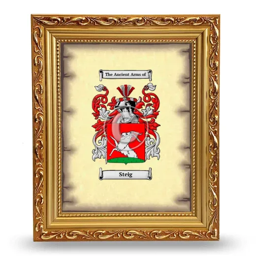 Steig Coat of Arms Framed - Gold