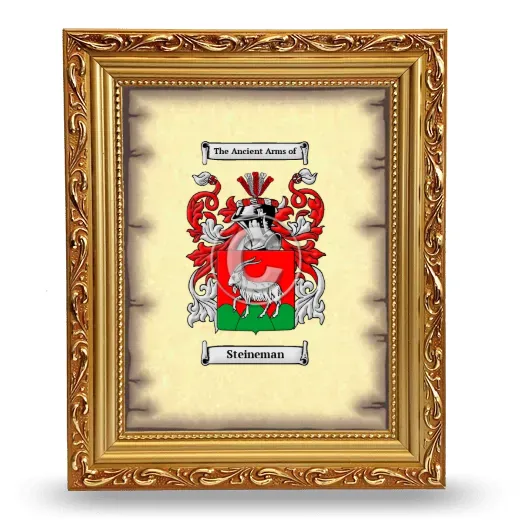 Steineman Coat of Arms Framed - Gold
