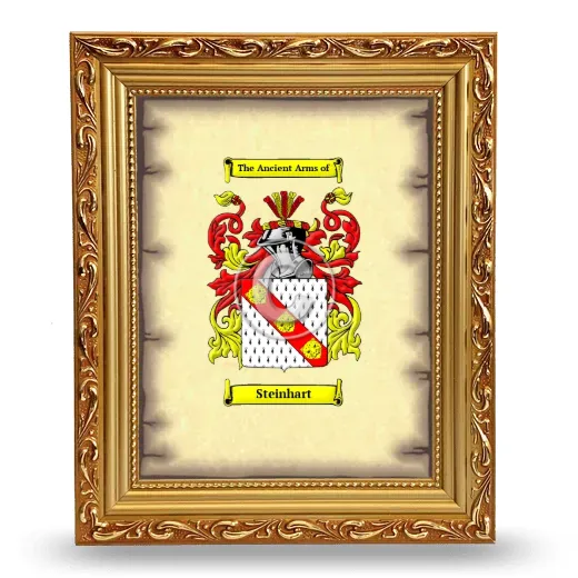 Steinhart Coat of Arms Framed - Gold