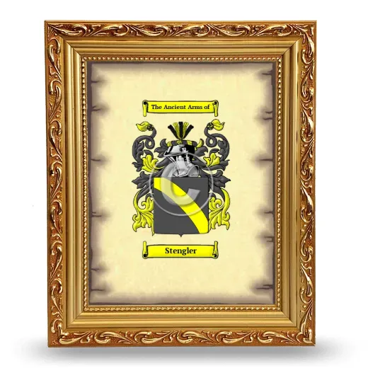 Stengler Coat of Arms Framed - Gold