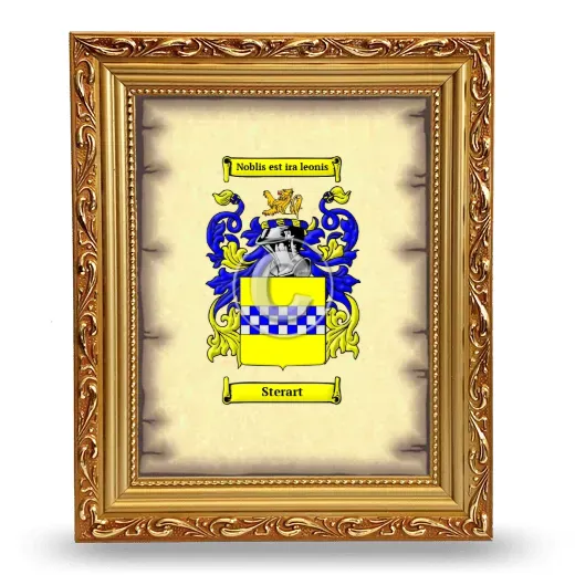 Sterart Coat of Arms Framed - Gold