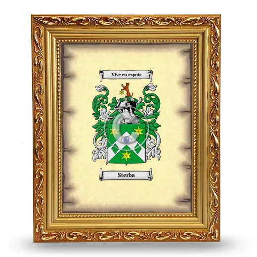 Sterba Coat of Arms Framed - Gold
