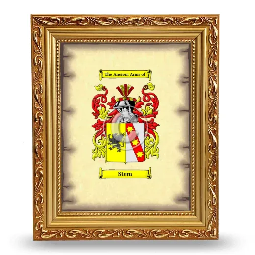 Stern Coat of Arms Framed - Gold
