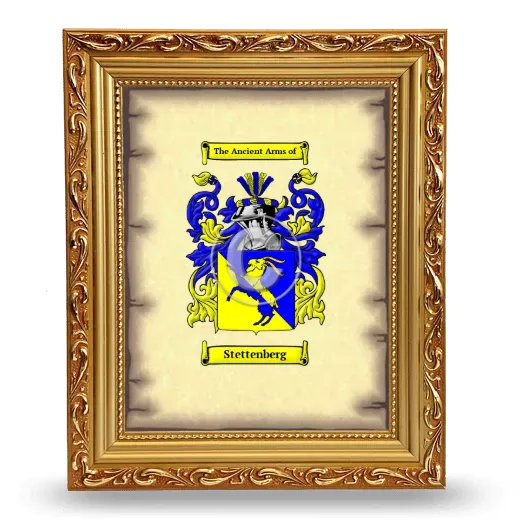 Stettenberg Coat of Arms Framed - Gold