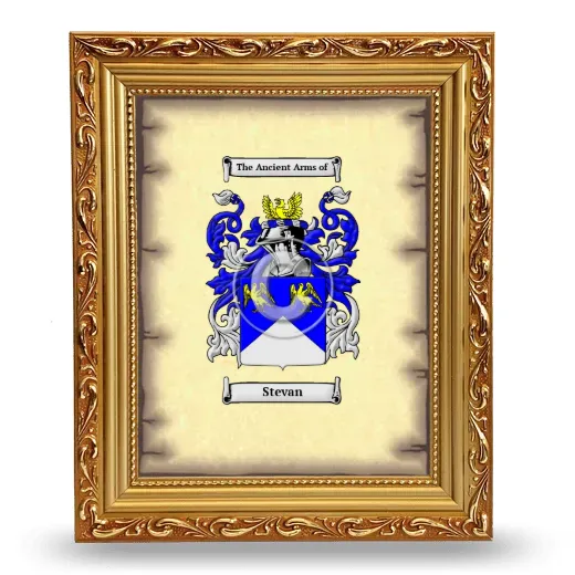 Stevan Coat of Arms Framed - Gold