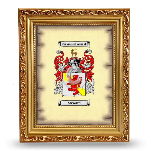 Steward Coat of Arms Framed - Gold