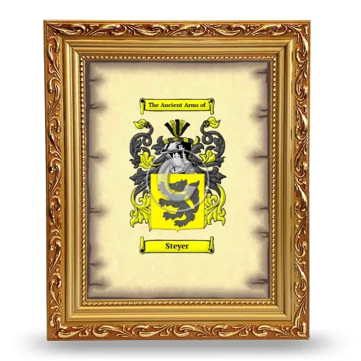 Steyer Coat of Arms Framed - Gold