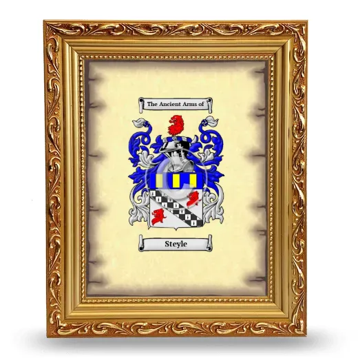 Steyle Coat of Arms Framed - Gold