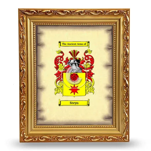 Steyn Coat of Arms Framed - Gold