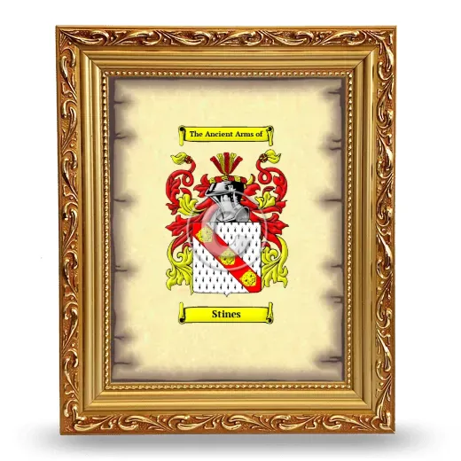 Stines Coat of Arms Framed - Gold