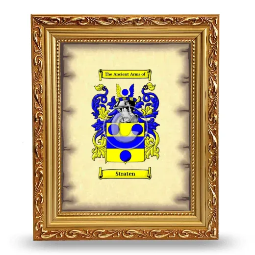Straten Coat of Arms Framed - Gold